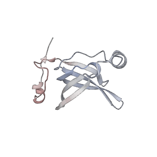 24738_7ryf_O_v1-2
A. baumannii Ribosome-TP-6076 complex: P-site tRNA 70S