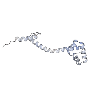 24738_7ryf_P_v1-2
A. baumannii Ribosome-TP-6076 complex: P-site tRNA 70S