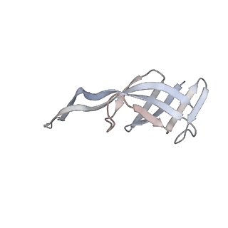 24738_7ryf_Q_v1-2
A. baumannii Ribosome-TP-6076 complex: P-site tRNA 70S