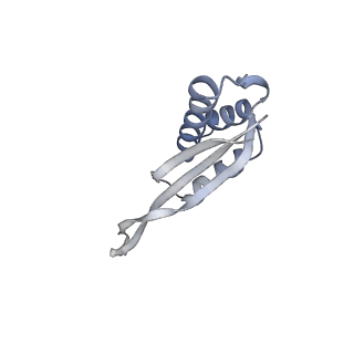 24738_7ryf_R_v1-2
A. baumannii Ribosome-TP-6076 complex: P-site tRNA 70S