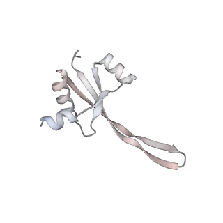 24738_7ryf_S_v1-2
A. baumannii Ribosome-TP-6076 complex: P-site tRNA 70S