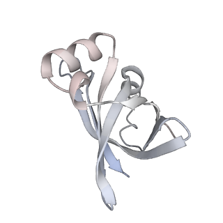 24738_7ryf_U_v1-2
A. baumannii Ribosome-TP-6076 complex: P-site tRNA 70S
