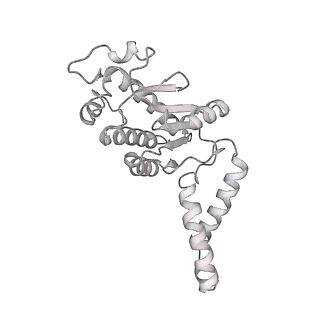 24738_7ryf_b_v1-2
A. baumannii Ribosome-TP-6076 complex: P-site tRNA 70S