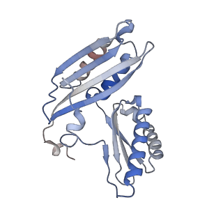 24738_7ryf_c_v1-2
A. baumannii Ribosome-TP-6076 complex: P-site tRNA 70S