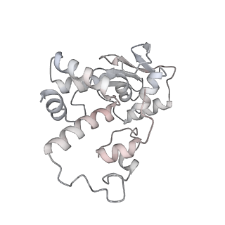 24738_7ryf_d_v1-2
A. baumannii Ribosome-TP-6076 complex: P-site tRNA 70S