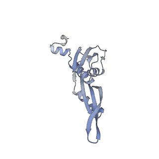 24738_7ryf_e_v1-2
A. baumannii Ribosome-TP-6076 complex: P-site tRNA 70S