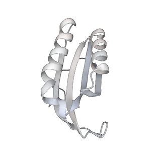 24738_7ryf_f_v1-2
A. baumannii Ribosome-TP-6076 complex: P-site tRNA 70S