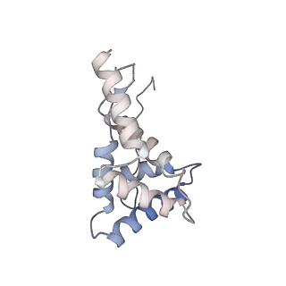 24738_7ryf_g_v1-2
A. baumannii Ribosome-TP-6076 complex: P-site tRNA 70S