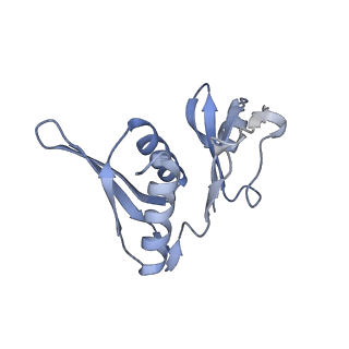 24738_7ryf_h_v1-2
A. baumannii Ribosome-TP-6076 complex: P-site tRNA 70S
