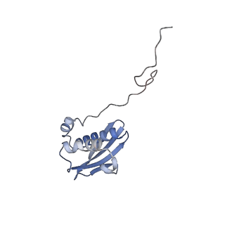 24738_7ryf_i_v1-2
A. baumannii Ribosome-TP-6076 complex: P-site tRNA 70S