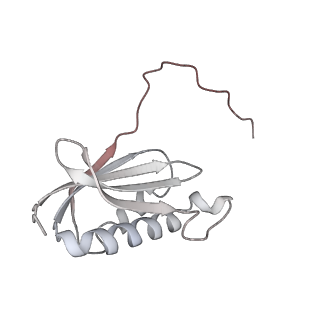 24738_7ryf_k_v1-2
A. baumannii Ribosome-TP-6076 complex: P-site tRNA 70S