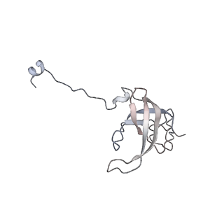 24738_7ryf_l_v1-2
A. baumannii Ribosome-TP-6076 complex: P-site tRNA 70S