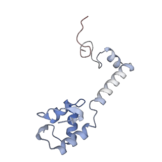 24738_7ryf_m_v1-2
A. baumannii Ribosome-TP-6076 complex: P-site tRNA 70S