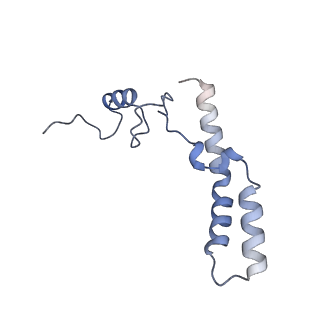 24738_7ryf_n_v1-2
A. baumannii Ribosome-TP-6076 complex: P-site tRNA 70S