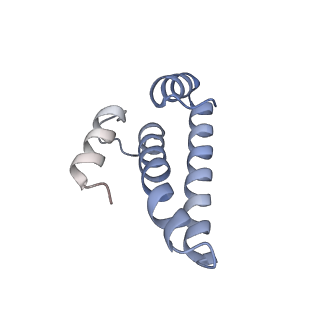 24738_7ryf_o_v1-2
A. baumannii Ribosome-TP-6076 complex: P-site tRNA 70S