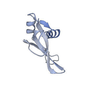 24738_7ryf_p_v1-2
A. baumannii Ribosome-TP-6076 complex: P-site tRNA 70S