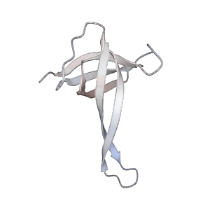24738_7ryf_q_v1-2
A. baumannii Ribosome-TP-6076 complex: P-site tRNA 70S