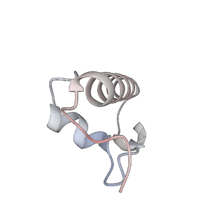 24738_7ryf_r_v1-2
A. baumannii Ribosome-TP-6076 complex: P-site tRNA 70S