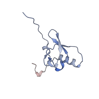 24738_7ryf_s_v1-2
A. baumannii Ribosome-TP-6076 complex: P-site tRNA 70S