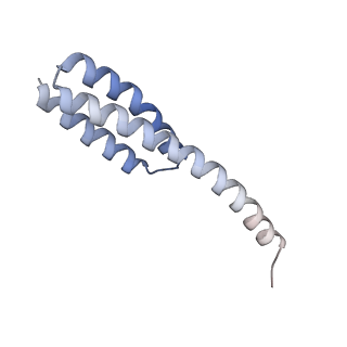 24738_7ryf_t_v1-2
A. baumannii Ribosome-TP-6076 complex: P-site tRNA 70S