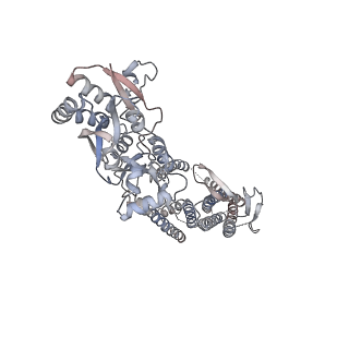 24748_7ryy_A_v1-1
Structure of the complex of LBD-TMD part of AMPA receptor GluA2 with auxiliary subunit TARP gamma-5 bound to agonist glutamate