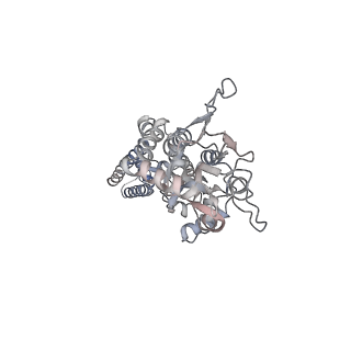 24748_7ryy_B_v1-1
Structure of the complex of LBD-TMD part of AMPA receptor GluA2 with auxiliary subunit TARP gamma-5 bound to agonist glutamate