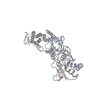 24748_7ryy_C_v1-1
Structure of the complex of LBD-TMD part of AMPA receptor GluA2 with auxiliary subunit TARP gamma-5 bound to agonist glutamate