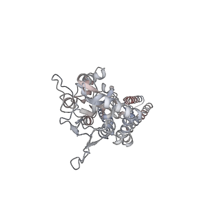 24748_7ryy_D_v1-1
Structure of the complex of LBD-TMD part of AMPA receptor GluA2 with auxiliary subunit TARP gamma-5 bound to agonist glutamate