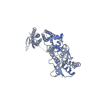 24749_7ryz_A_v1-1
Structure of the complex of LBD-TMD part of AMPA receptor GluA2 with auxiliary subunit GSG1L bound to agonist quisqualate
