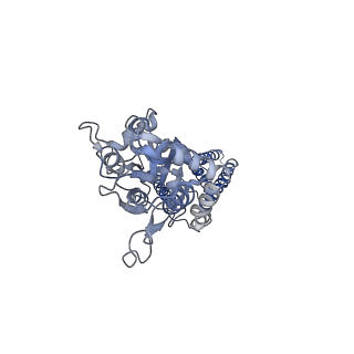 24749_7ryz_B_v1-1
Structure of the complex of LBD-TMD part of AMPA receptor GluA2 with auxiliary subunit GSG1L bound to agonist quisqualate