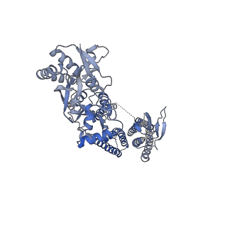 24749_7ryz_C_v1-1
Structure of the complex of LBD-TMD part of AMPA receptor GluA2 with auxiliary subunit GSG1L bound to agonist quisqualate