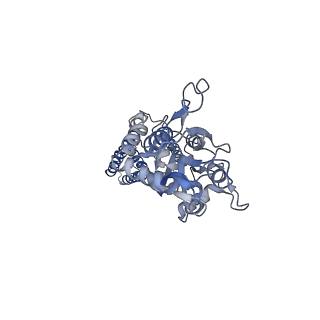 24749_7ryz_D_v1-1
Structure of the complex of LBD-TMD part of AMPA receptor GluA2 with auxiliary subunit GSG1L bound to agonist quisqualate