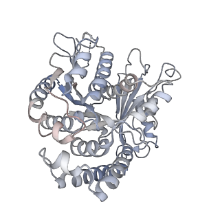 10060_6rza_A_v1-1
Cryo-EM structure of the human inner arm dynein DNAH7 microtubule binding domain bound to microtubules