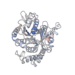 10060_6rza_B_v1-1
Cryo-EM structure of the human inner arm dynein DNAH7 microtubule binding domain bound to microtubules