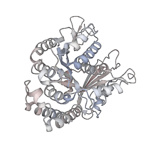10060_6rza_C_v1-1
Cryo-EM structure of the human inner arm dynein DNAH7 microtubule binding domain bound to microtubules