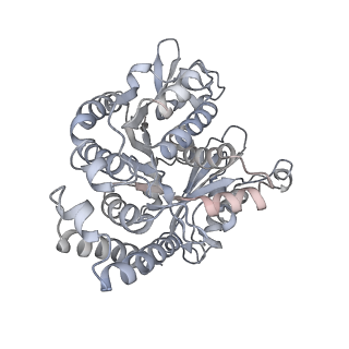 10060_6rza_D_v1-1
Cryo-EM structure of the human inner arm dynein DNAH7 microtubule binding domain bound to microtubules