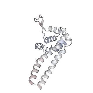 10060_6rza_X_v1-1
Cryo-EM structure of the human inner arm dynein DNAH7 microtubule binding domain bound to microtubules