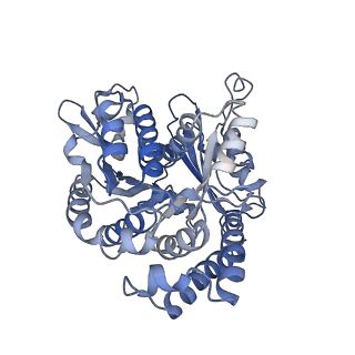 10061_6rzb_B_v1-1
Cryo-EM structure of mouse cytoplasmic dynein-1 microtubule binding domain bound to microtubules