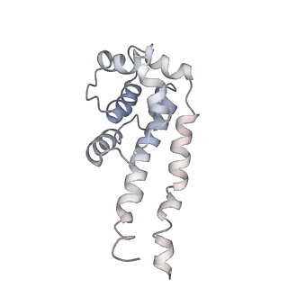 10061_6rzb_C_v1-1
Cryo-EM structure of mouse cytoplasmic dynein-1 microtubule binding domain bound to microtubules