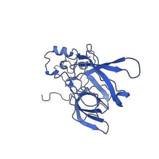 10068_6rzz_B_v1-1
Cryo-EM structures of Lsg1-TAP pre-60S ribosomal particles