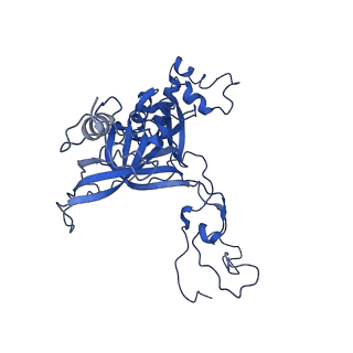 10068_6rzz_C_v1-1
Cryo-EM structures of Lsg1-TAP pre-60S ribosomal particles