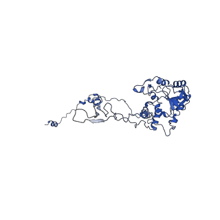 10068_6rzz_D_v1-1
Cryo-EM structures of Lsg1-TAP pre-60S ribosomal particles