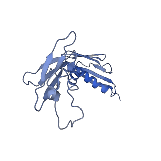 10068_6rzz_F_v1-1
Cryo-EM structures of Lsg1-TAP pre-60S ribosomal particles