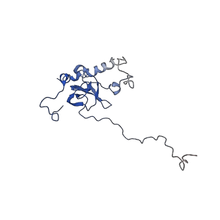 10068_6rzz_G_v1-1
Cryo-EM structures of Lsg1-TAP pre-60S ribosomal particles