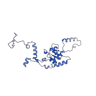 10068_6rzz_H_v1-1
Cryo-EM structures of Lsg1-TAP pre-60S ribosomal particles