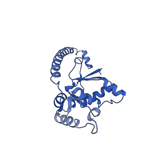 10068_6rzz_J_v1-1
Cryo-EM structures of Lsg1-TAP pre-60S ribosomal particles