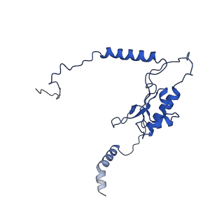 10068_6rzz_K_v1-1
Cryo-EM structures of Lsg1-TAP pre-60S ribosomal particles