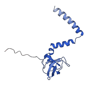 10068_6rzz_M_v1-1
Cryo-EM structures of Lsg1-TAP pre-60S ribosomal particles