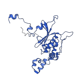 10068_6rzz_P_v1-1
Cryo-EM structures of Lsg1-TAP pre-60S ribosomal particles