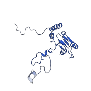 10068_6rzz_Q_v1-1
Cryo-EM structures of Lsg1-TAP pre-60S ribosomal particles